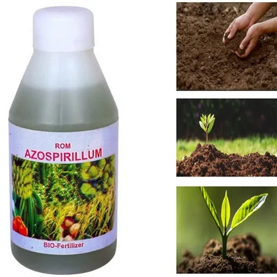 ROM 1 liter Azospirillum Liquid Bio Fertilizer | Nitrogen Fixing Bacterium